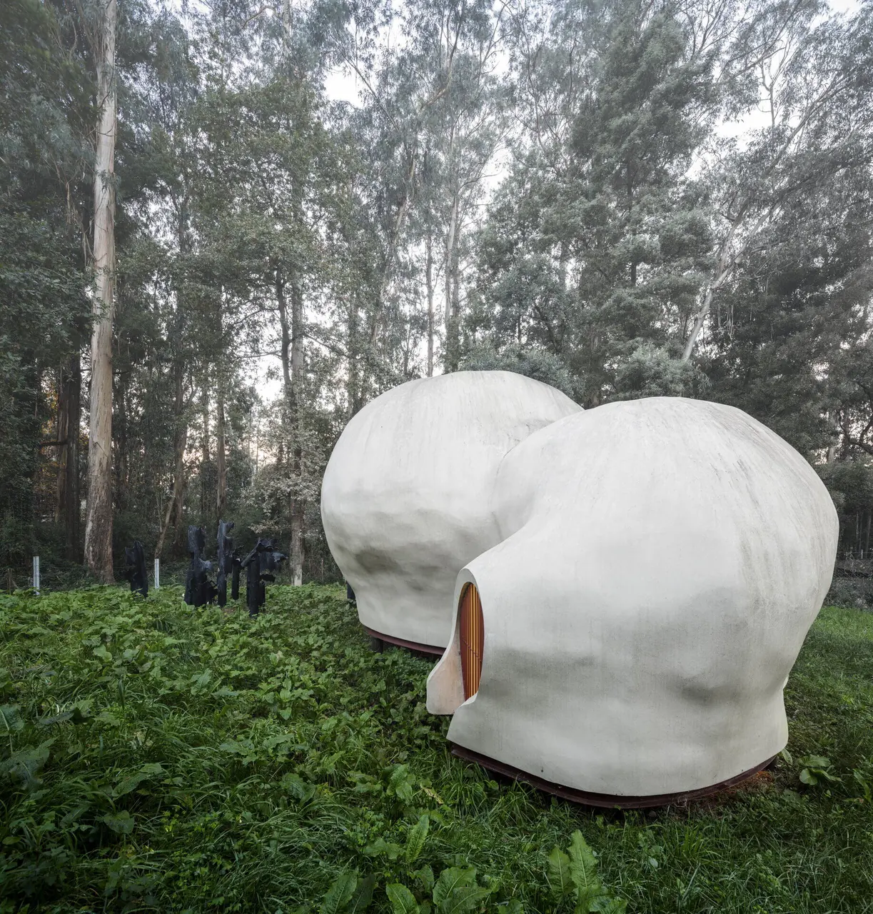 O Mato — Sculptural Retreat, Cucujães, Portugal (5)